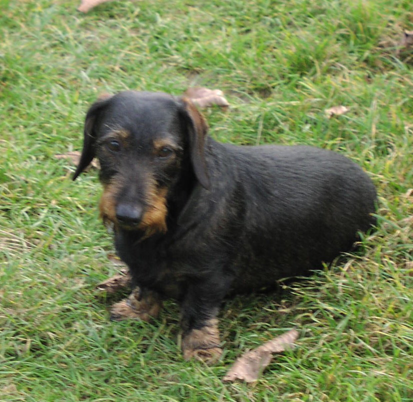 Moritz