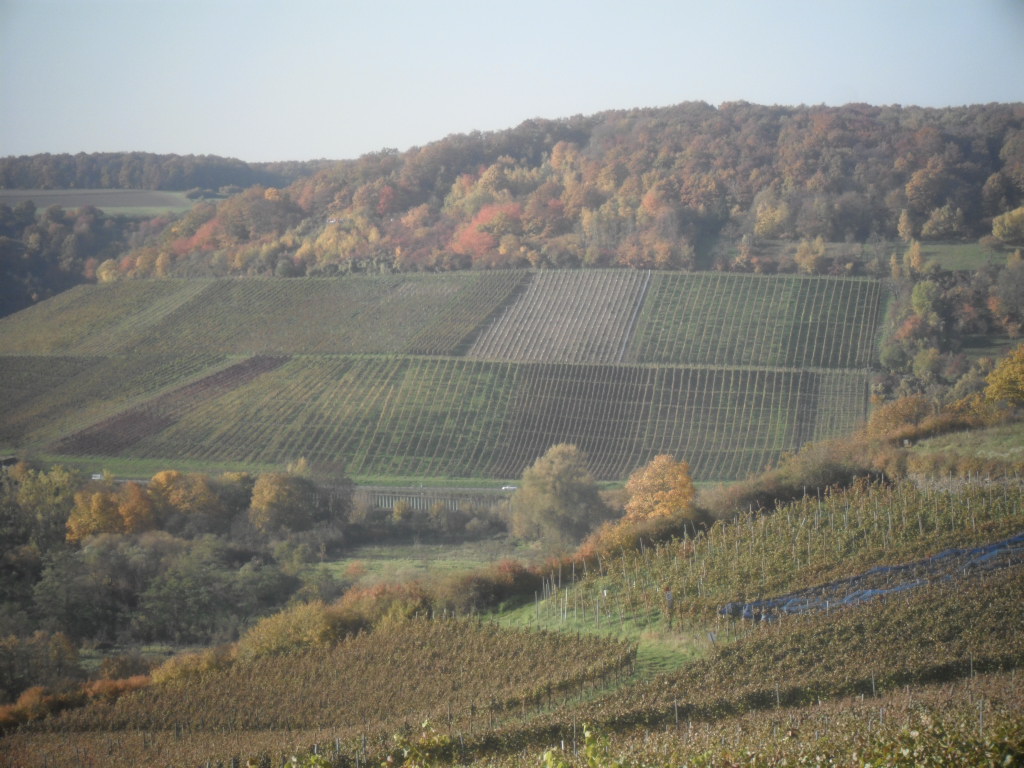 Herbst2010