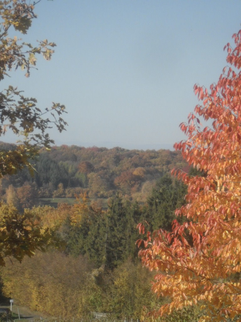 Herbst2010