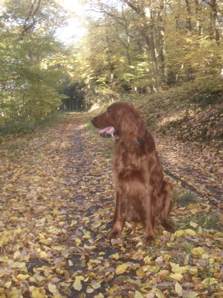 Herbst2010