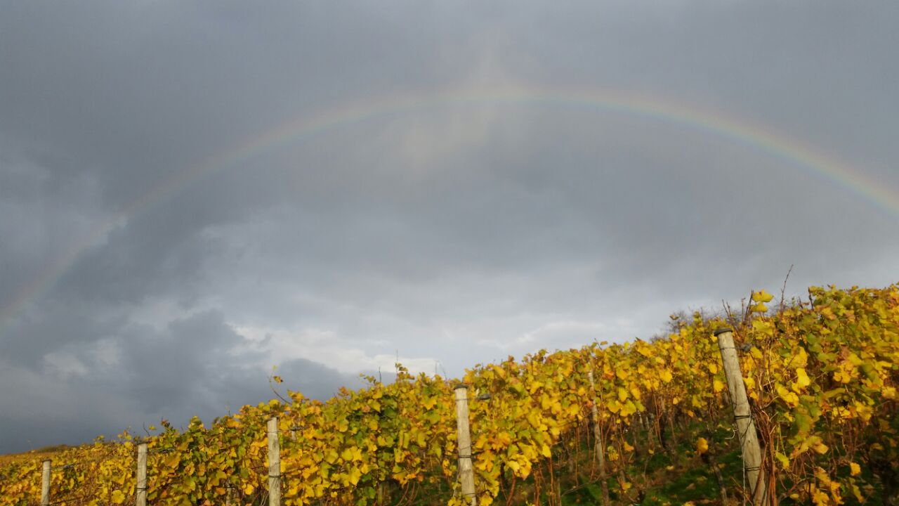 regenbogen